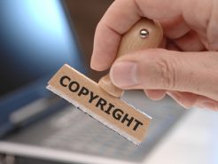 THE IMPORTANCE OF TRADEMARKS