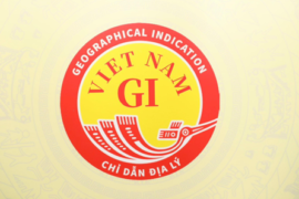 Công bố Biểu trưng chỉ dẫn địa lý quốc gia Việt Nam